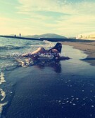 Анкета проститутки Каролина - метро Беговой, возраст - 21